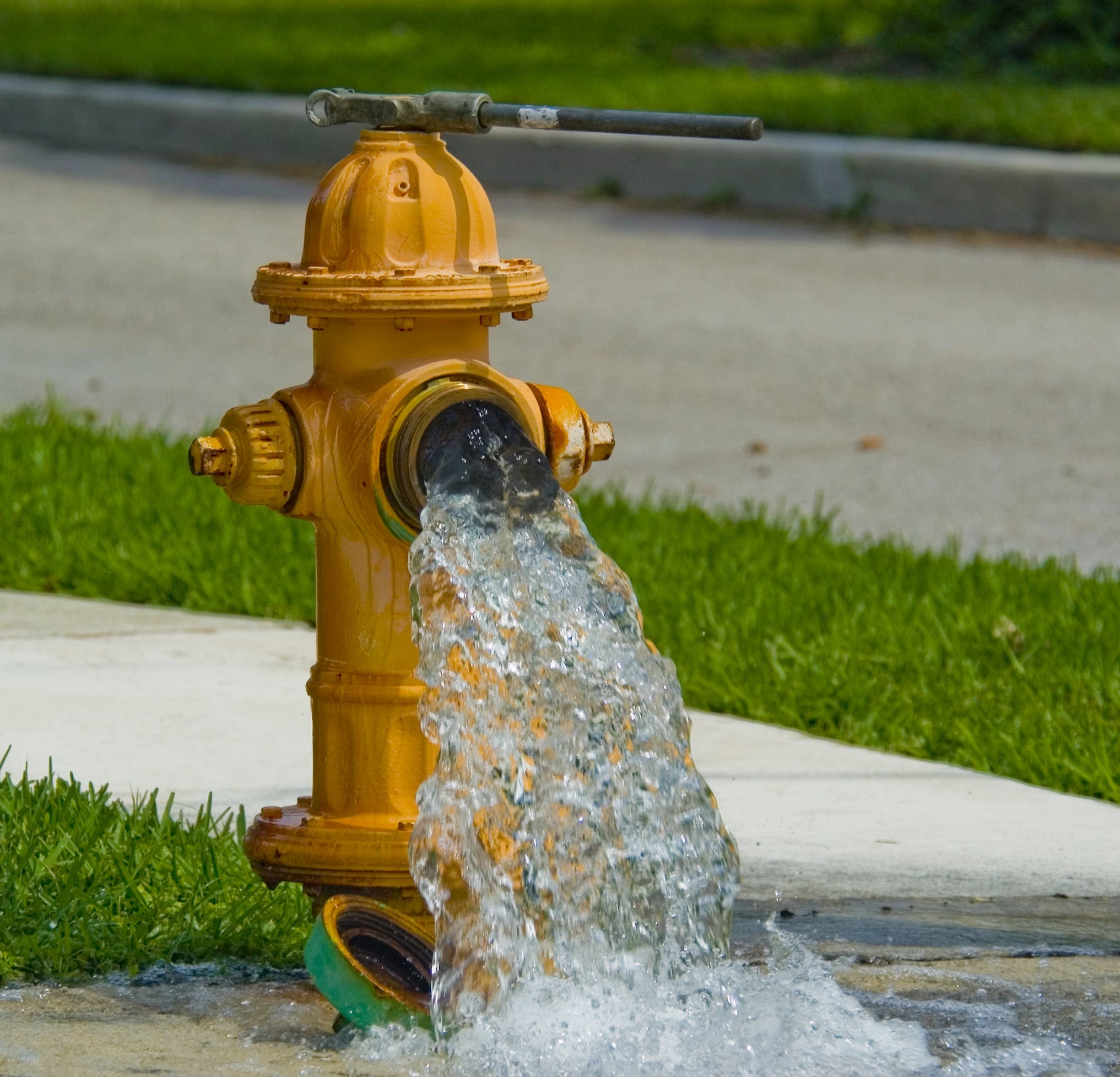 List 99+ Pictures Images Of Fire Hydrants Latest