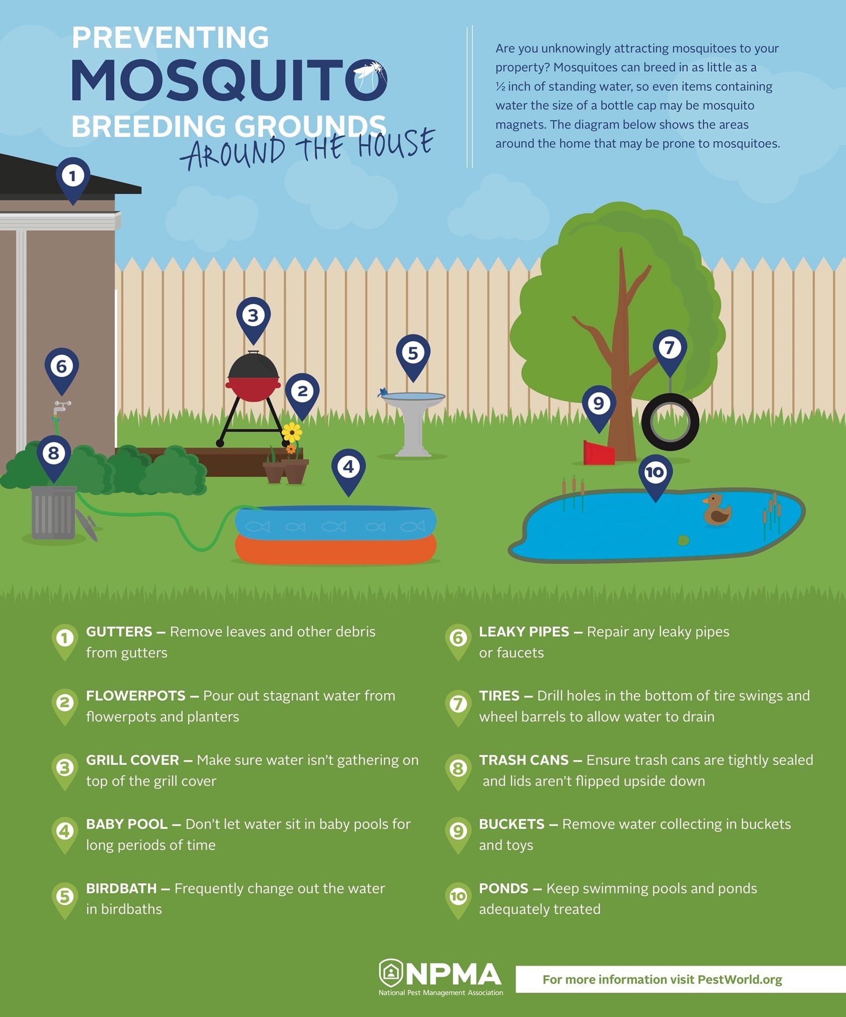 spraying for mosquitoes in your yard